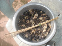 hoiroh.jpg hoiroh.jpg