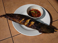 pladuk.jpg pladuk.jpg