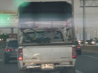 p1160310_fileminimizer.jpg