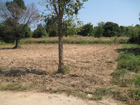 HB_web_IMG_0317.jpg HB_web_IMG_0317.jpg