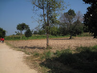 HB_web_IMG_0320.jpg HB_web_IMG_0320.jpg