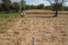 HB_web_IMG_0520.jpg HB_web_IMG_0520.jpg