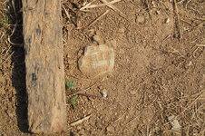 HB_web_IMG_0515.jpg HB_web_IMG_0515.jpg