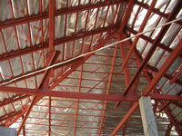 IMGP0443.jpg