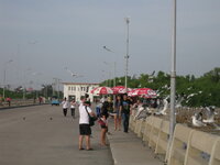 bkkb68.jpg