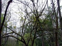 0194_298483.jpg