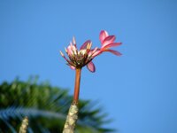 dce2d887c96c18dcebaebb0103f1aa9a.jpg