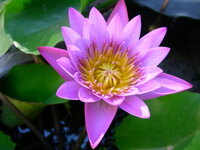 345d9638d8908709af789953c4037c05.jpg