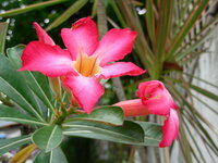 123cbd00d931826dac34cc2c6cf775af.jpg