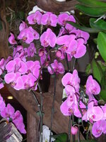 cbf8dcde9eb77b99fb005a6cdf5a84f7.jpg