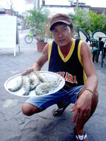 bfb0896536d370d7b0ba85358995ae5a.jpg