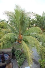 img_2425_20904.jpg