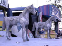 21159354on.jpg
