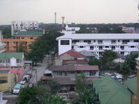 21176405wl.jpg