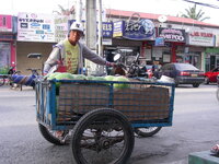21178828gi.jpg