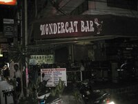 wondercat01.jpg wondercat01.jpg