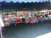 k-2010_04092009PTY0635.jpg