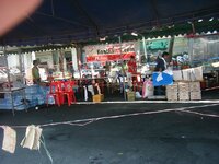 k-2010_04092009PTY0636.jpg