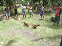 Bohol-664.jpg