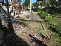 Bohol-668.jpg