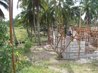 Bohol-694.jpg