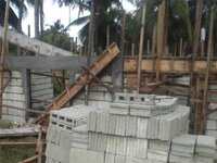 Bohol-769.jpg
