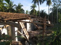 Bohol-1060.jpg