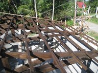 Bohol-1071.jpg