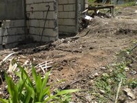 Bohol-1105.jpg
