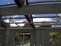 Bohol-1114.jpg