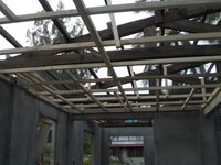 Bohol-1120.jpg
