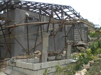 Bohol-1132.jpg
