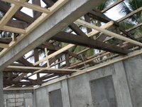 Bohol-1137.jpg