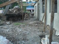 Bohol-1164.jpg
