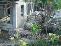 Bohol-1166.jpg