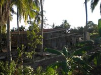 Bohol-1175.jpg