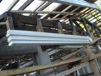 Bohol-1177.jpg