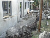 Bohol-1182.jpg