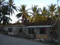 Bohol-1187.jpg