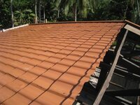 Bohol-1197.jpg