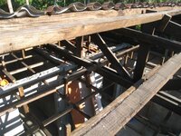 Bohol-1209.jpg