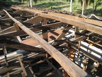 Bohol-1210.jpg