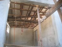 Bohol-1218.jpg