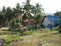 Bohol-1232.jpg