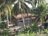 Bohol-1233.jpg