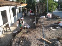 Bohol-1246.jpg