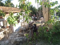 Bohol-1248.jpg
