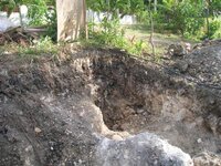 Bohol-1257.jpg