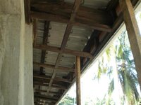 Bohol-1264.jpg