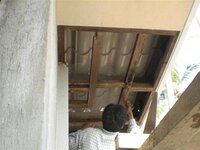 Bohol-1272.jpg